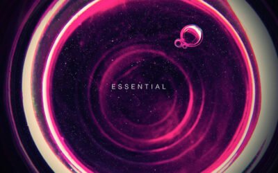 Essential Visions: A 2025 Showcase of Bold Creative Portfolios